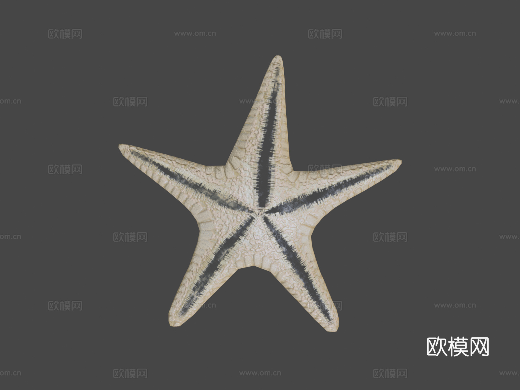 海星绑定3d模型