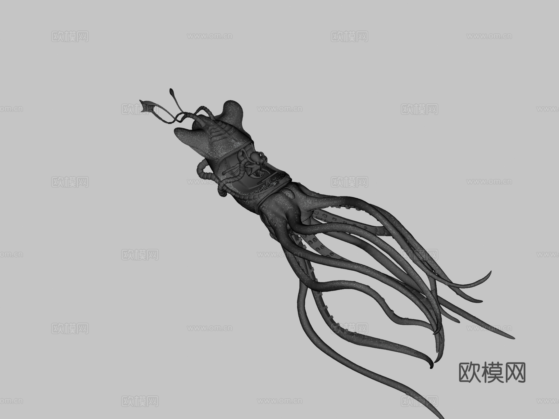 章鱼鱿鱼3d模型