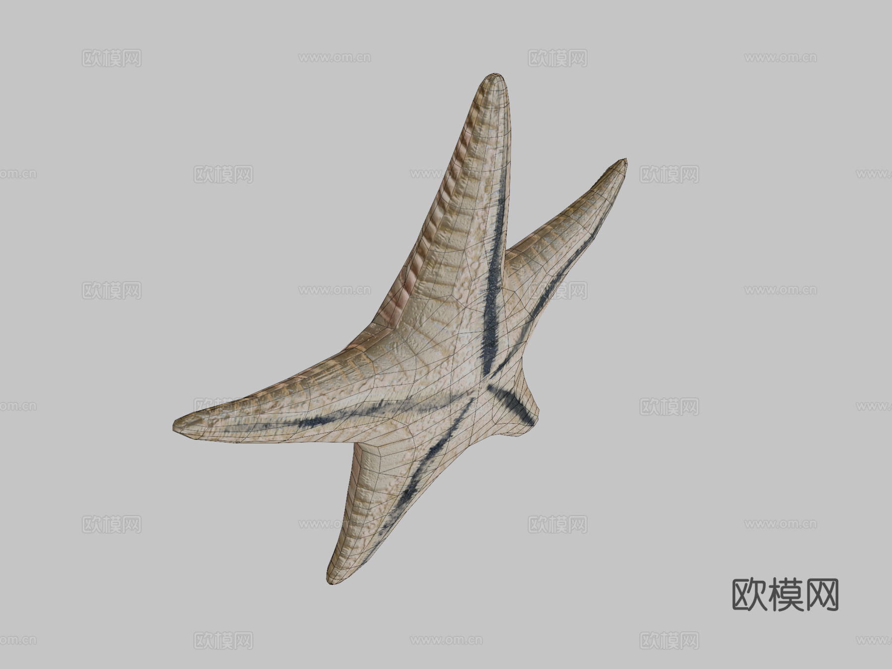 海星绑定3d模型