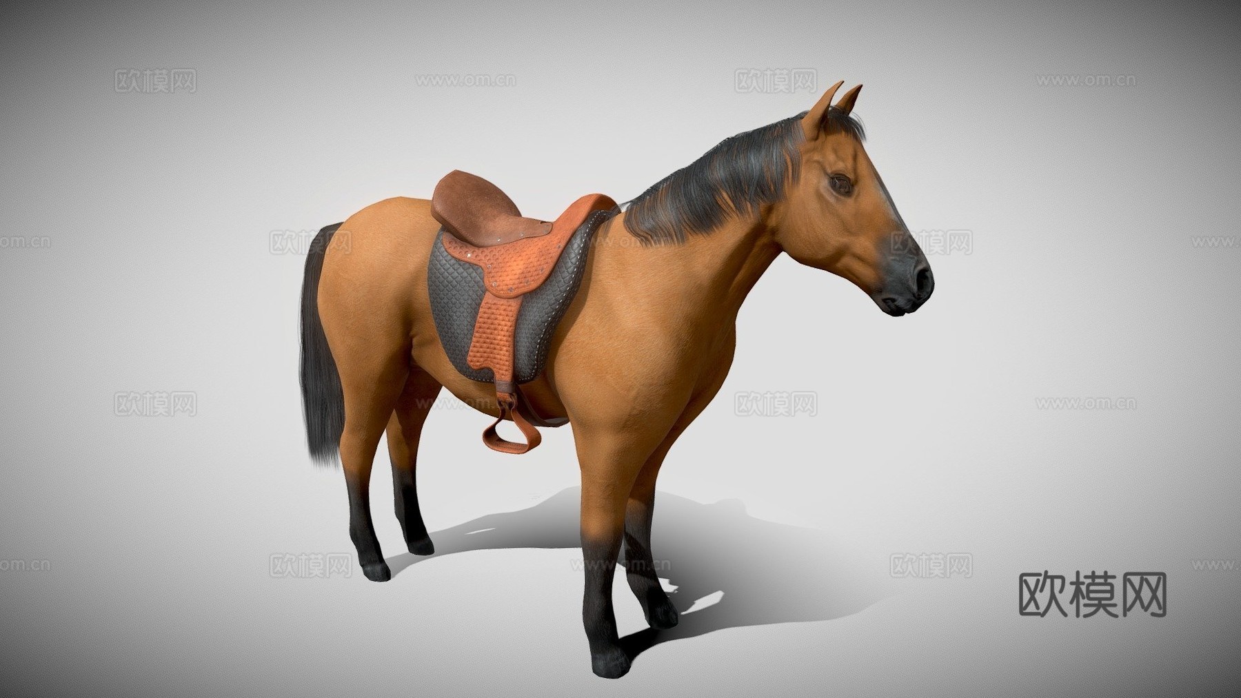 棕色马绑定3d模型