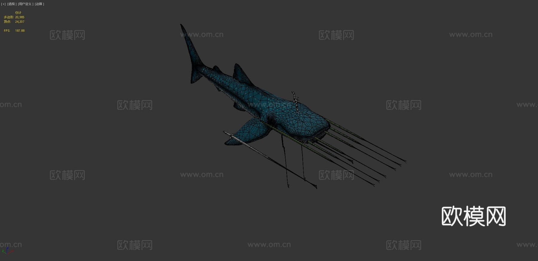 鲸鲨-首个动画3d模型