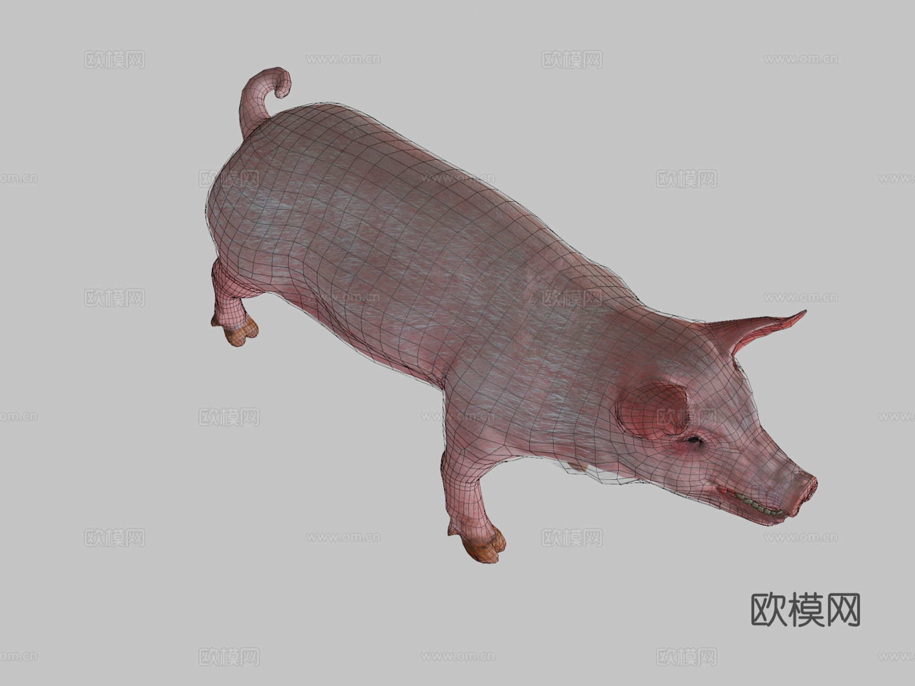 动画猪3d模型
