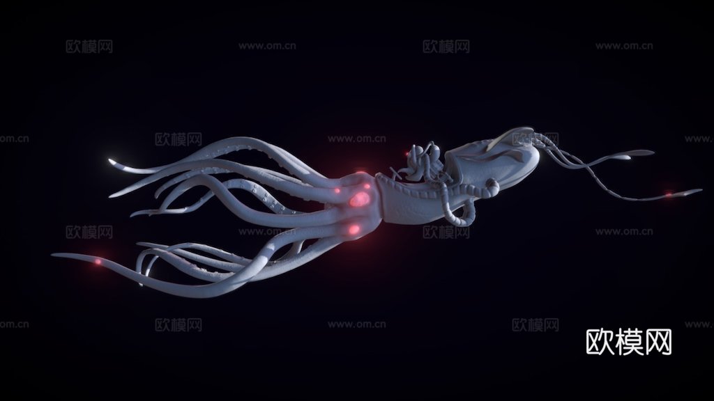 章鱼鱿鱼3d模型