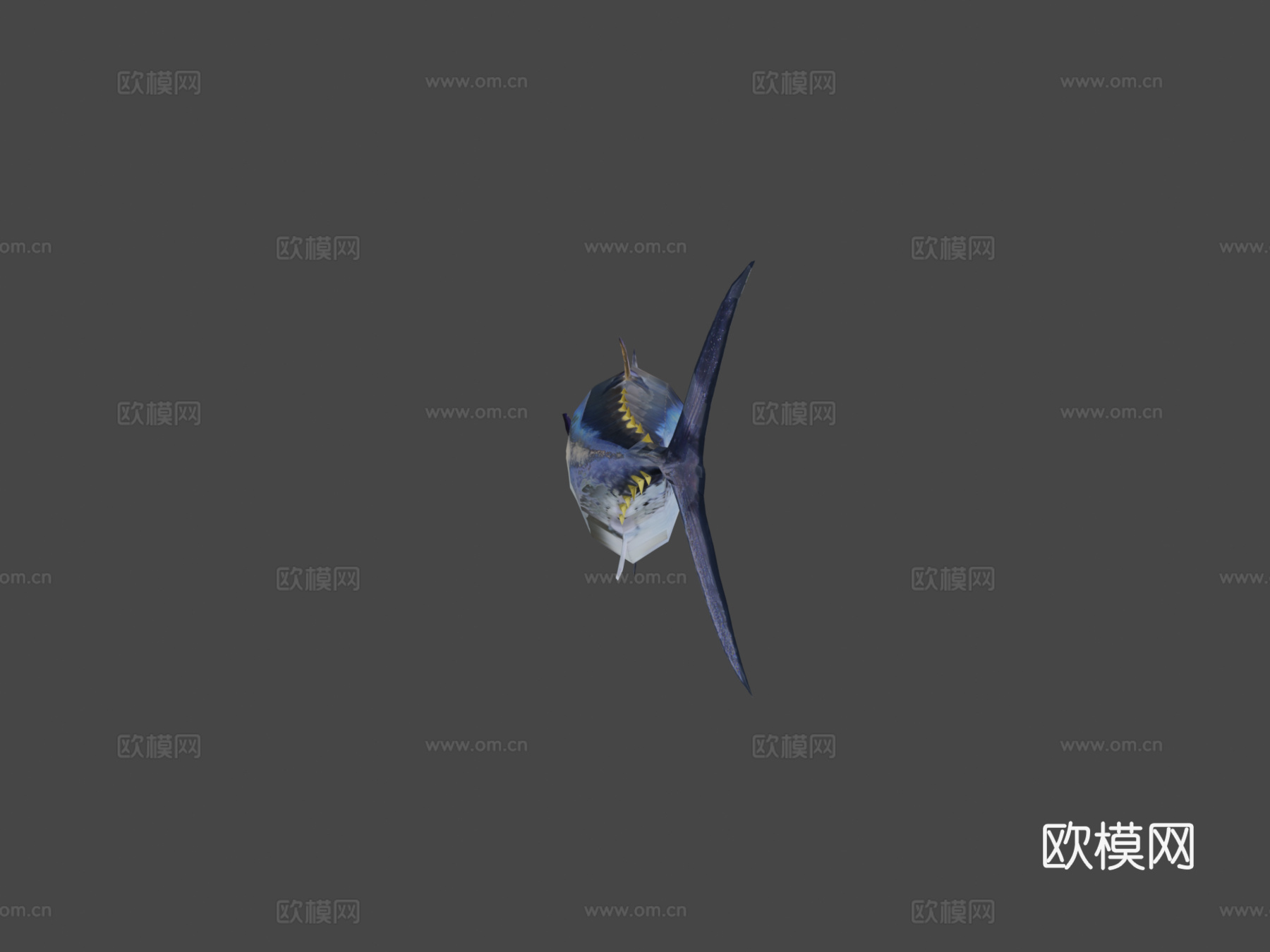 金枪鱼3d模型