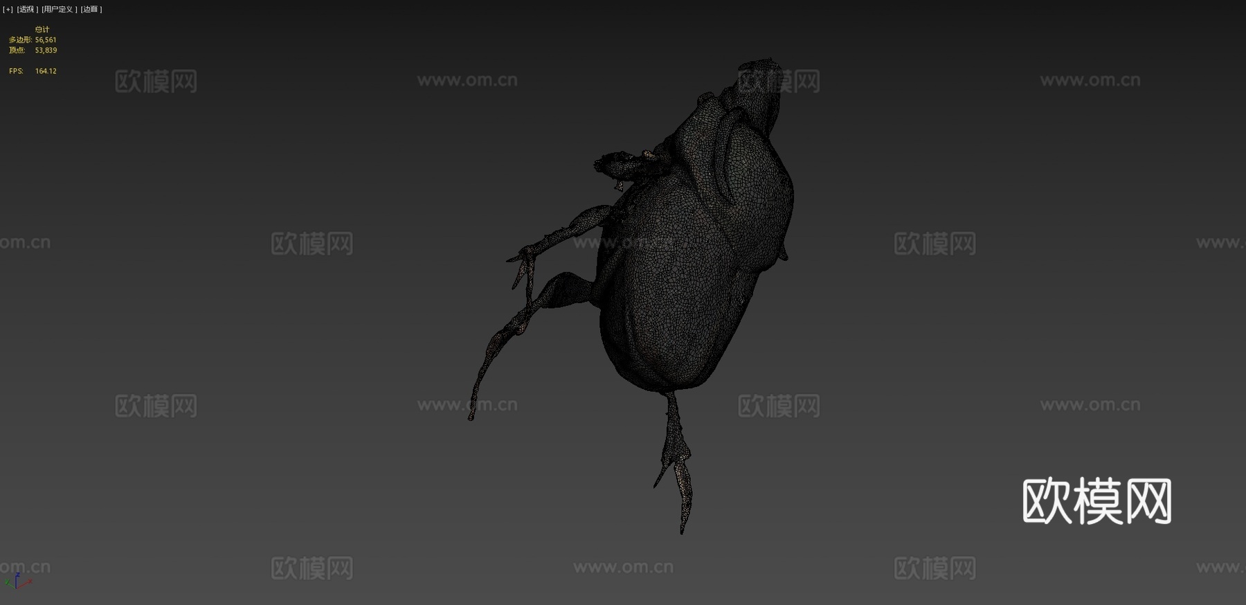 金牛粪金龟(自然历史数字档案)3d模型