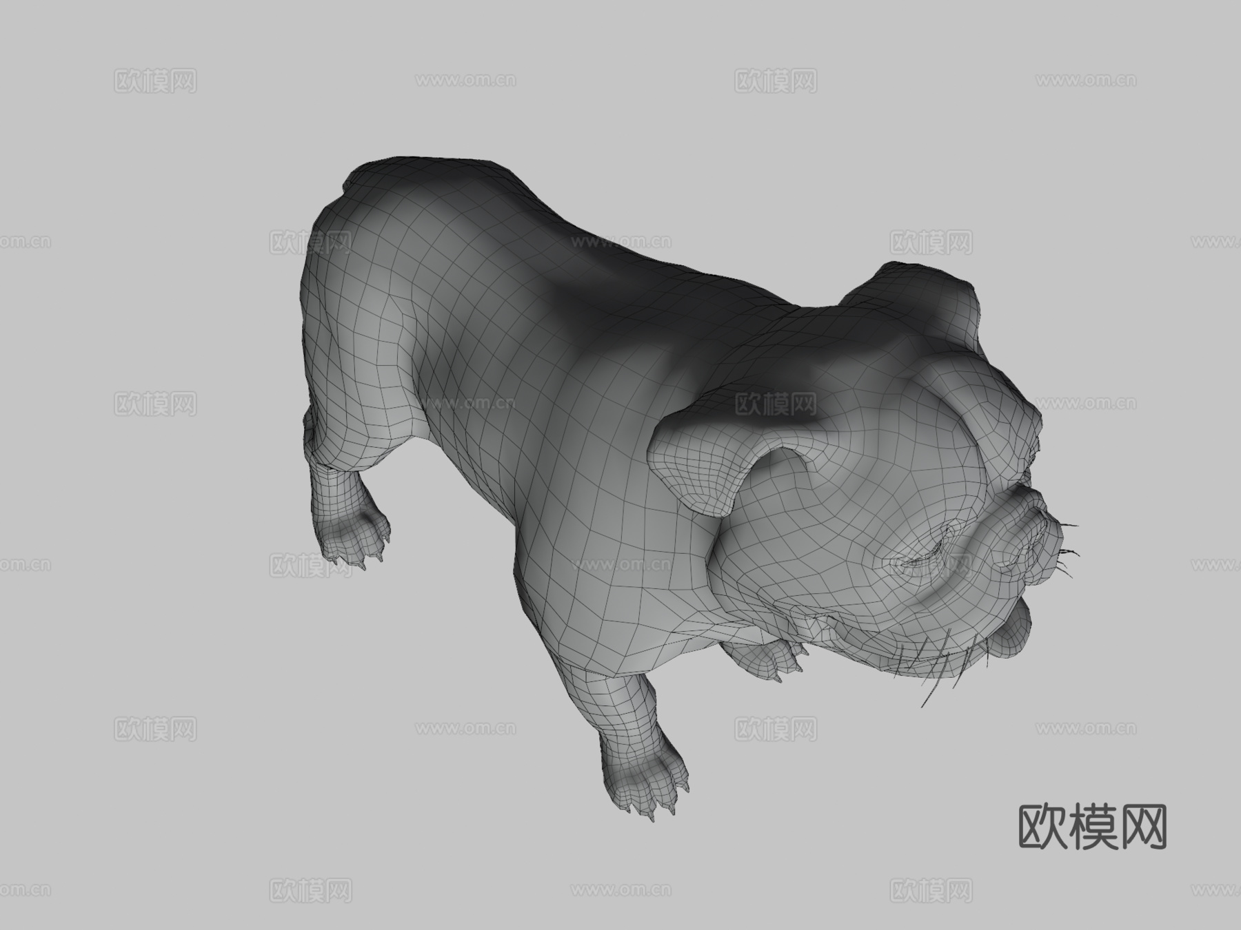 狗-斗牛犬3d模型