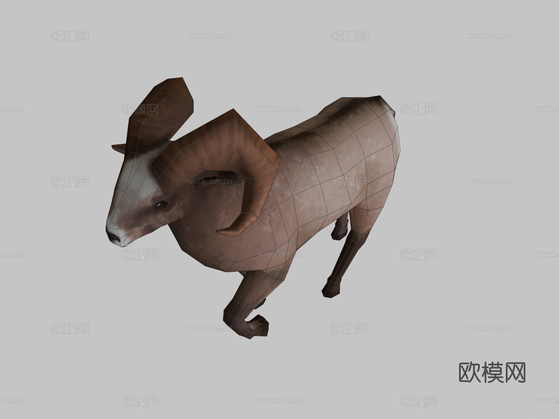 大角羊3d模型