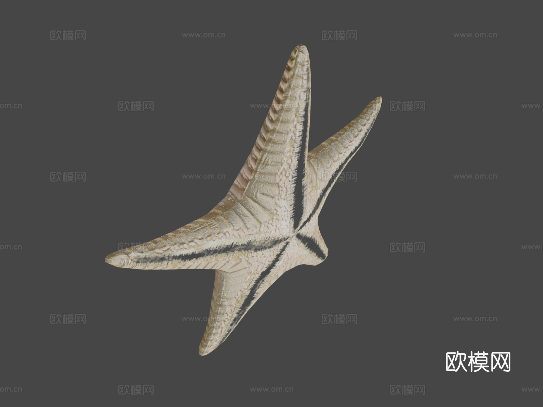 海星绑定3d模型