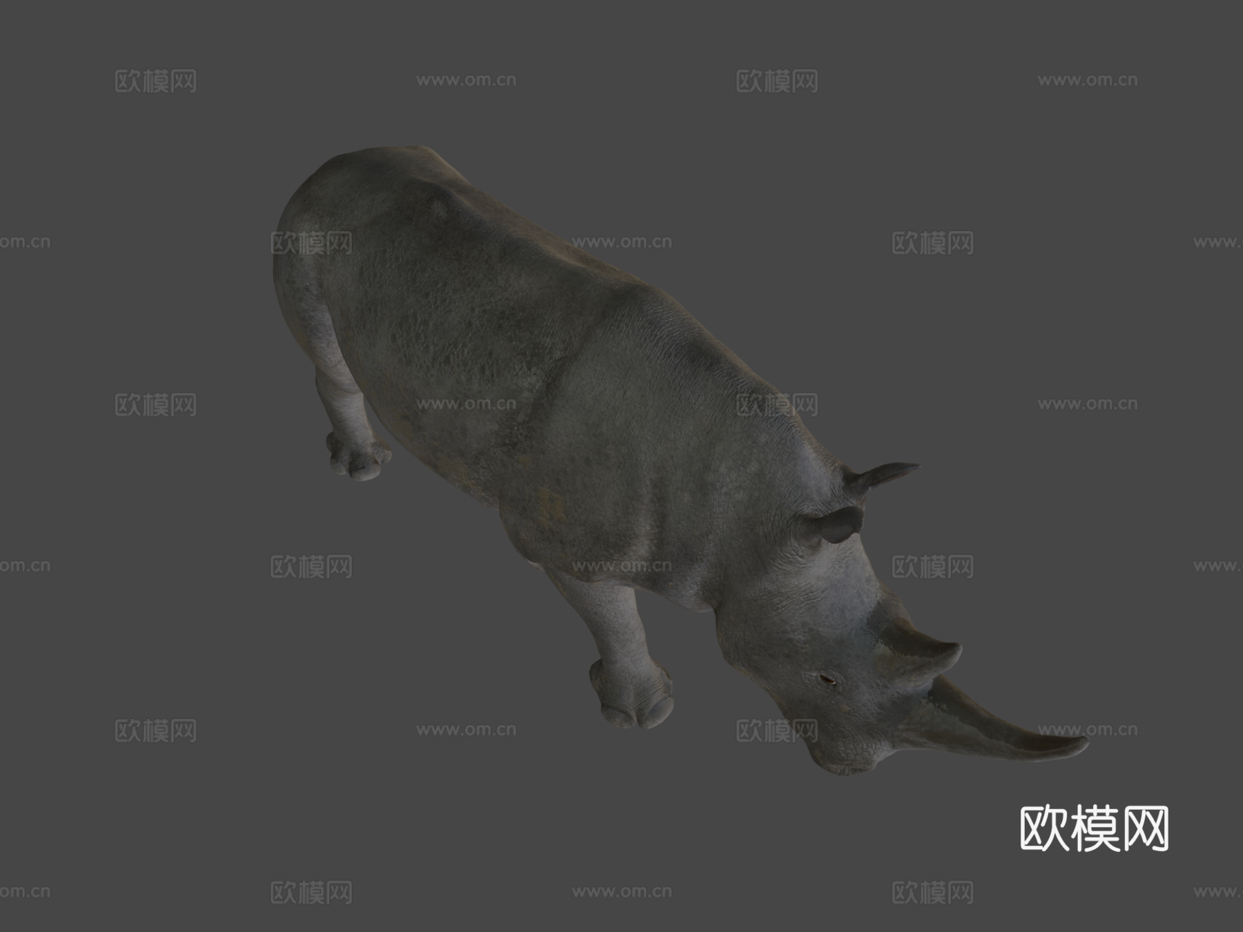 白犀牛3d模型