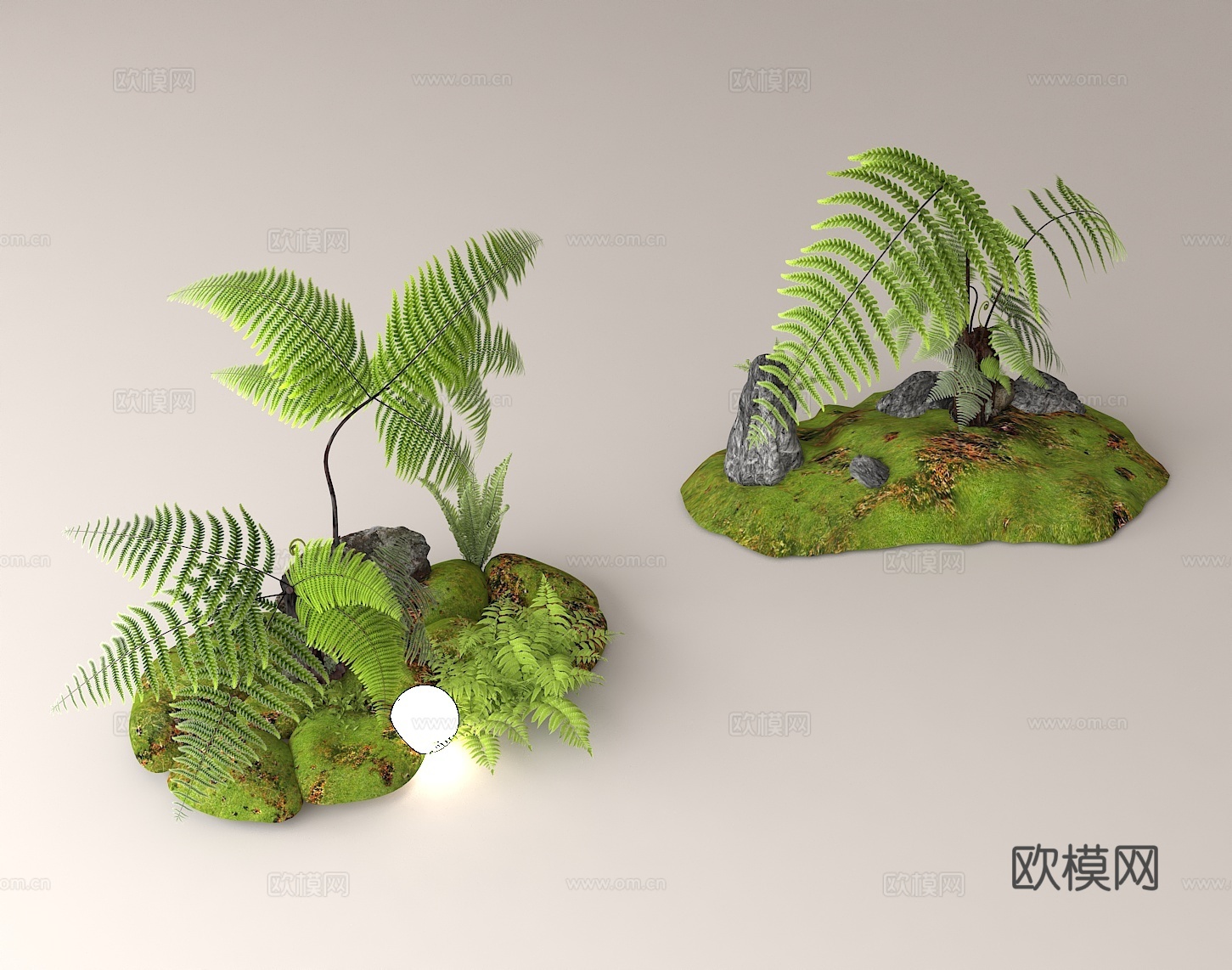 蕨类植物景观 微景观设计 绿植装饰 苔藓景观 生态造景3d模型