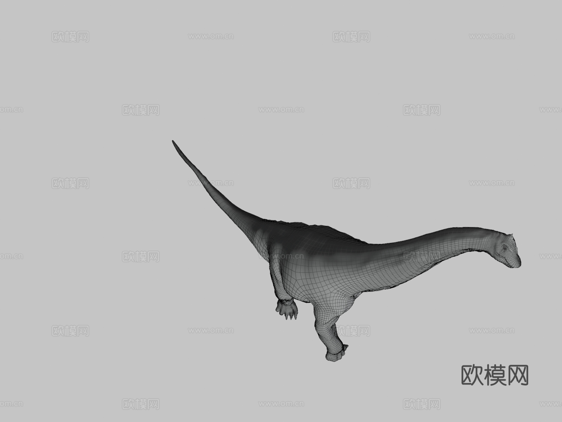 阿拉莫龙3d模型