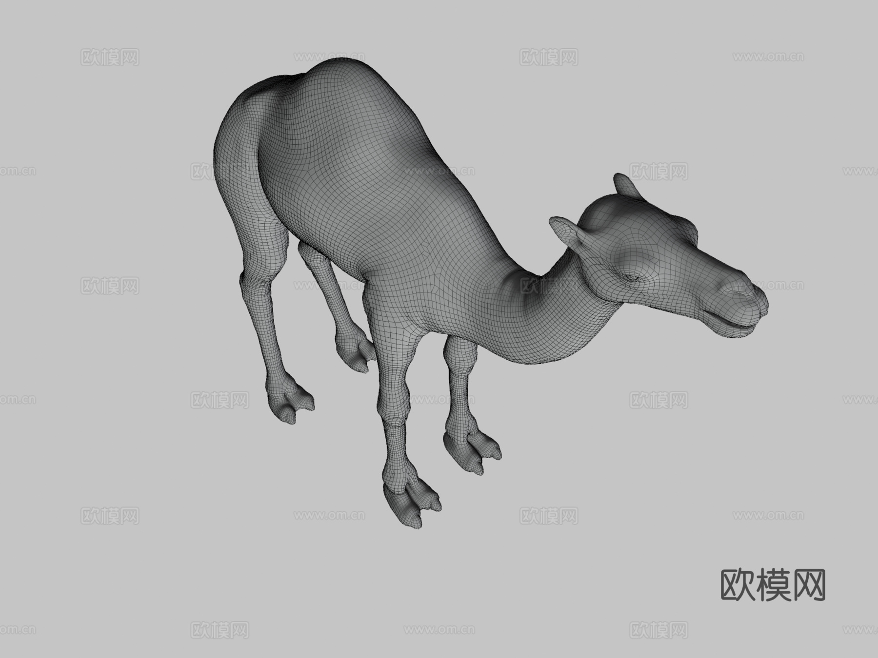 骆驼3d模型