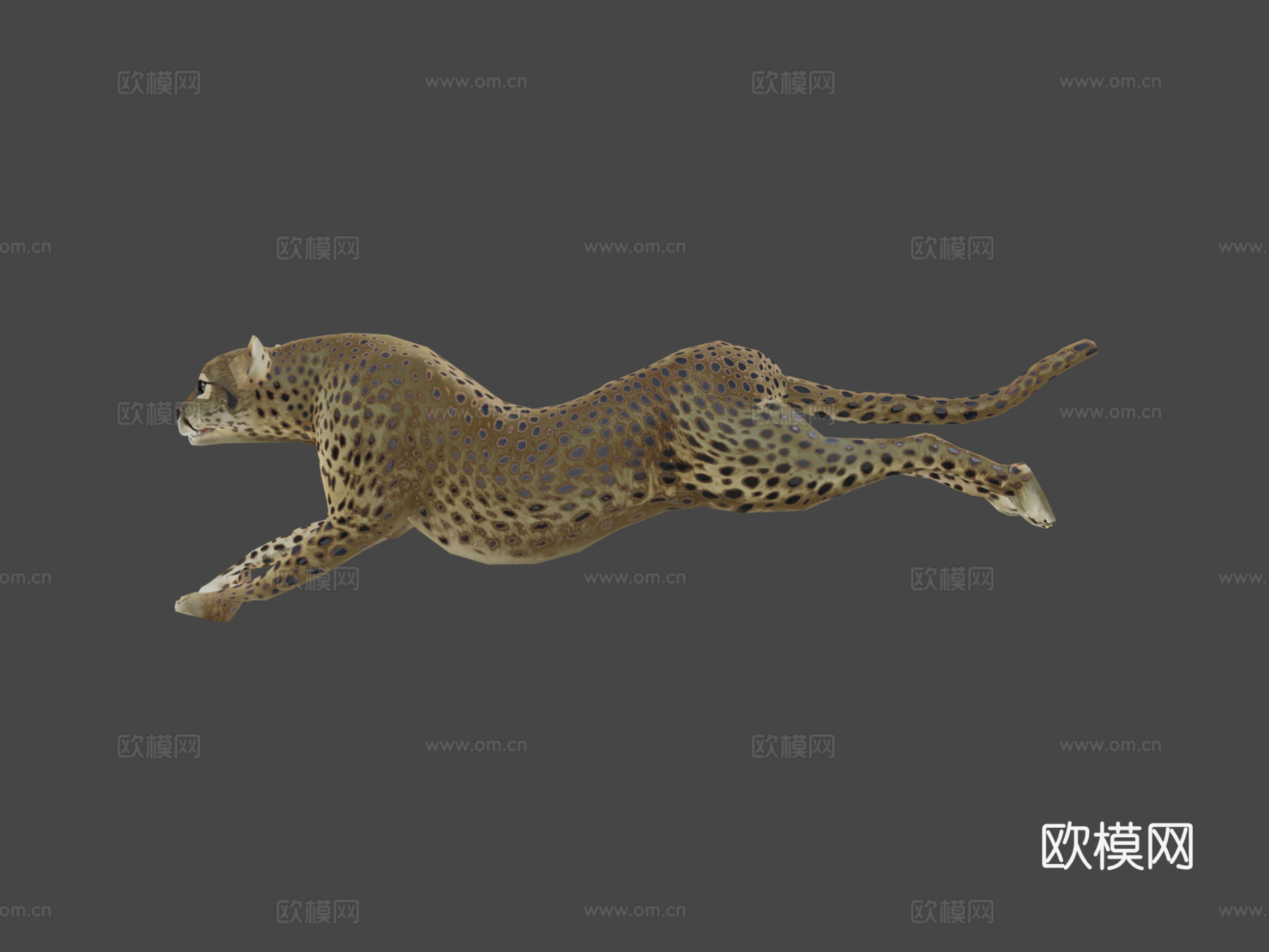 猎豹3d模型