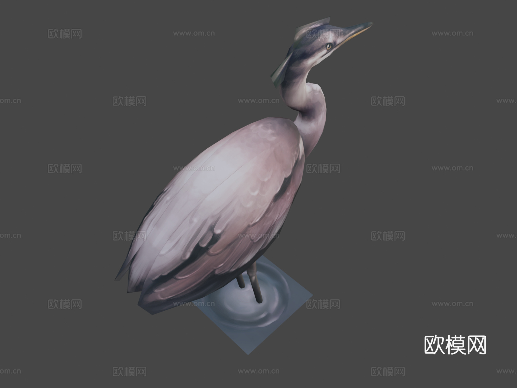 鸟3d模型