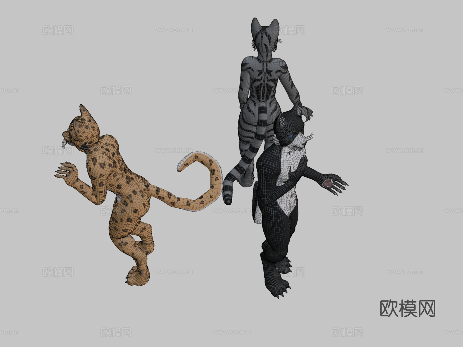 VRChat猫科基础模型3d模型