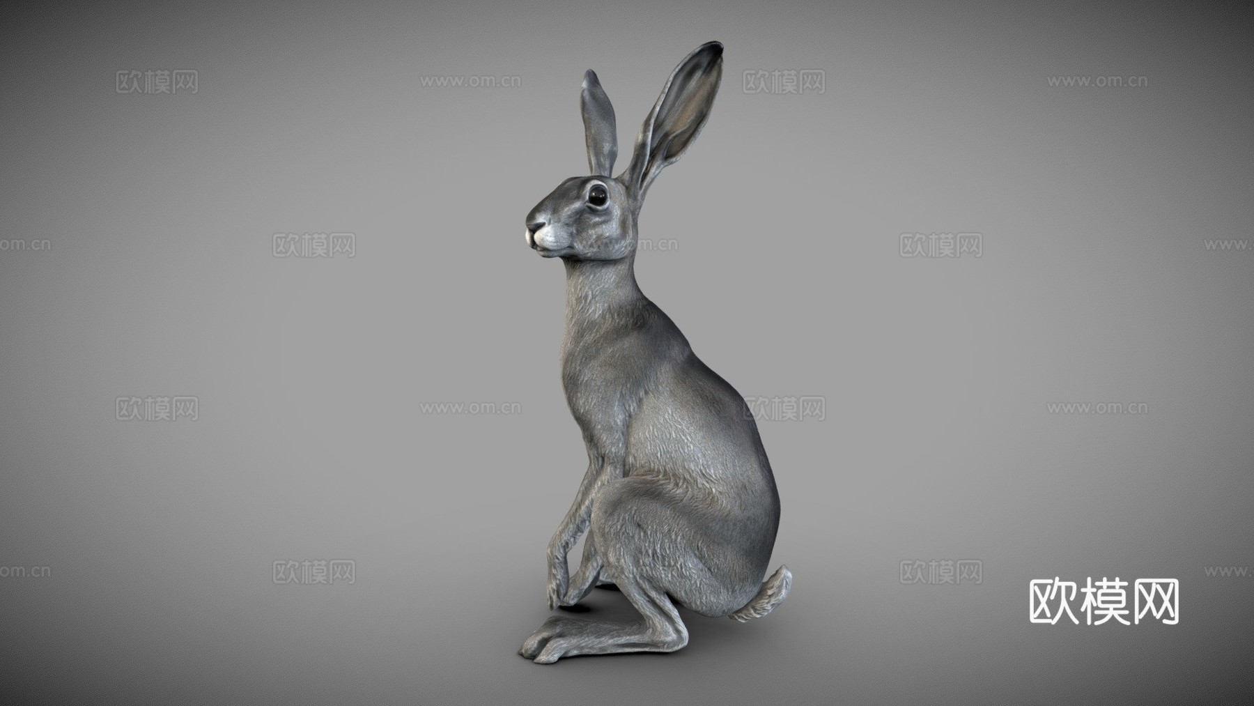 野兔-3D雕刻3d模型