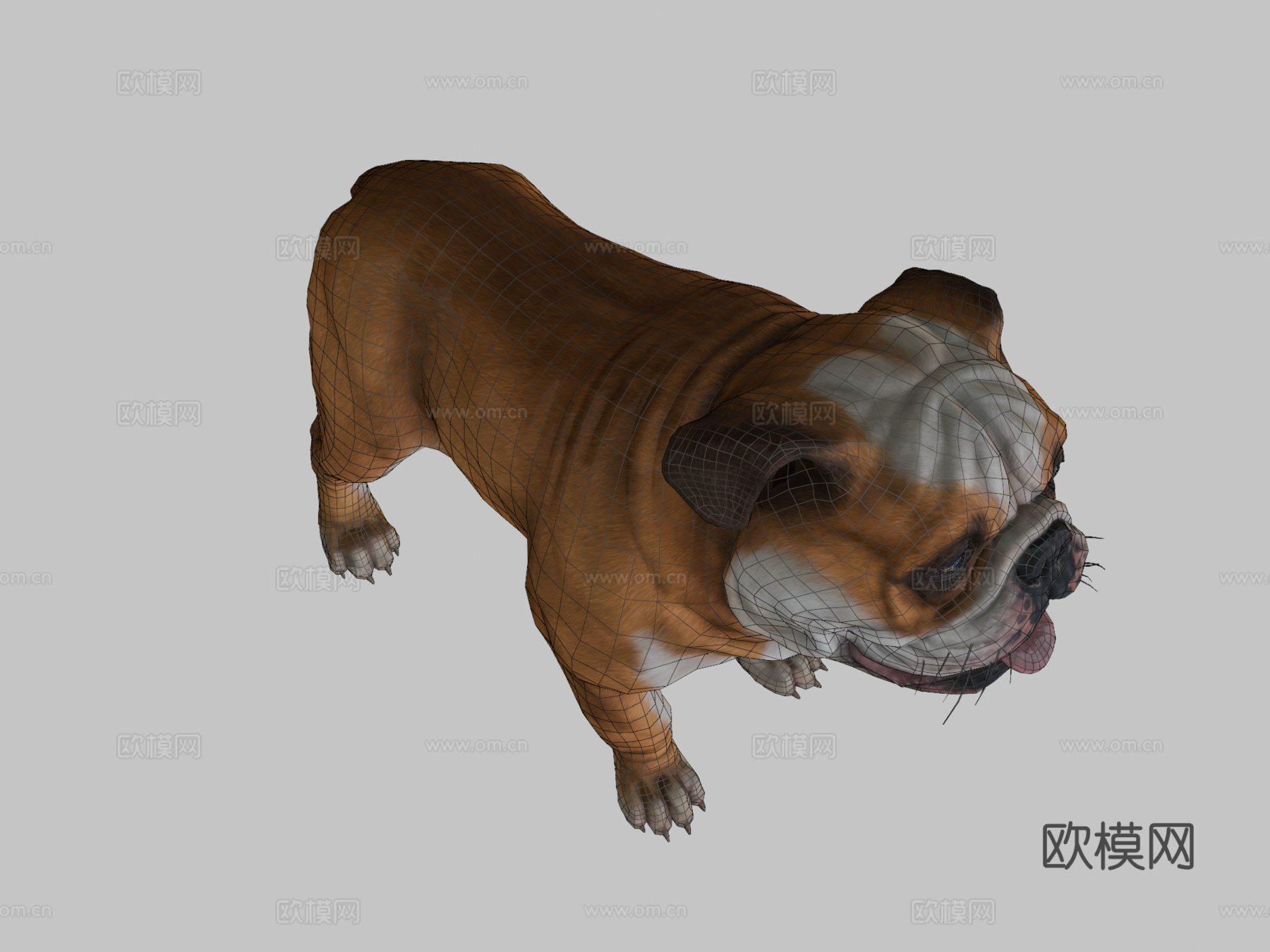 狗-斗牛犬3d模型
