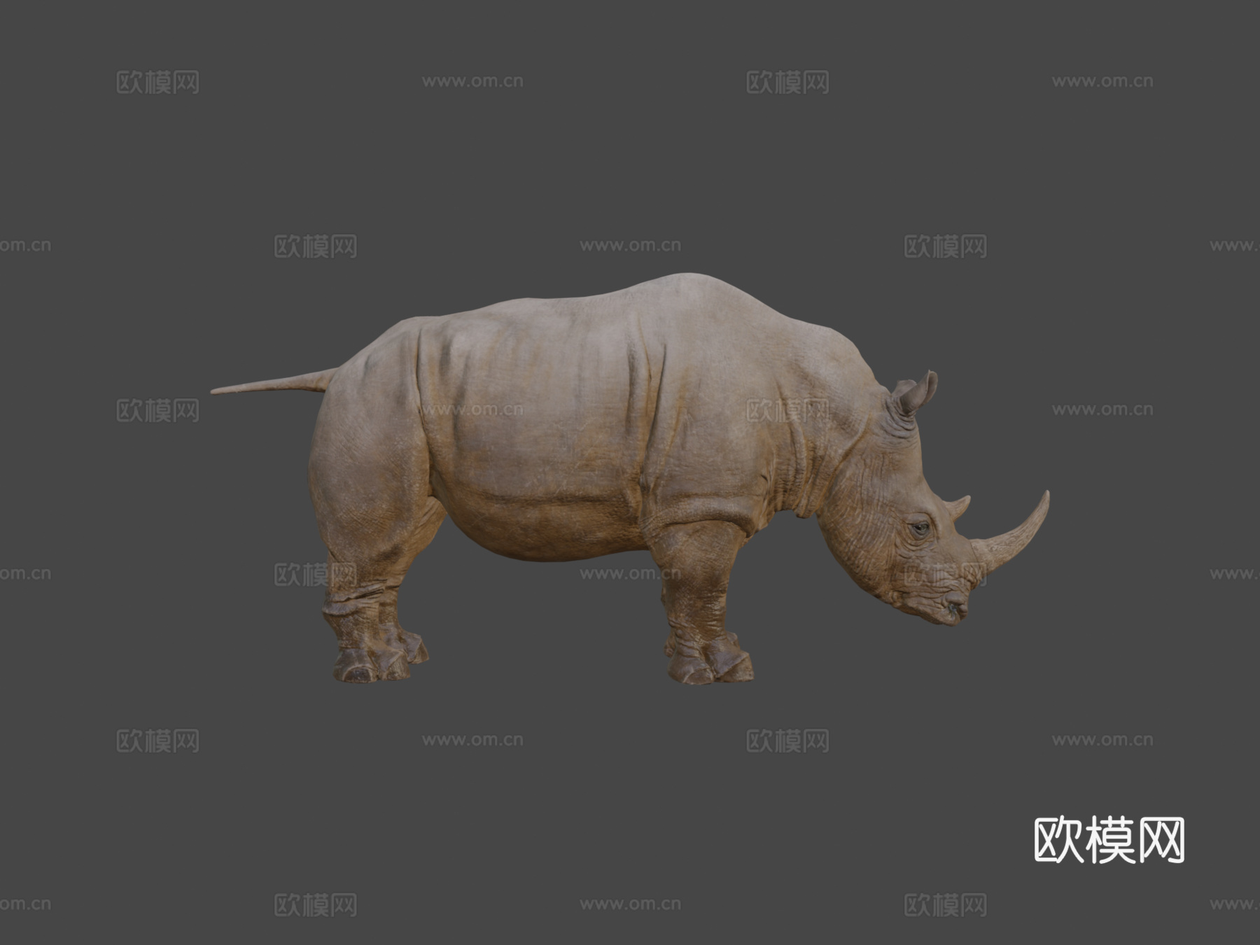 犀牛3d模型