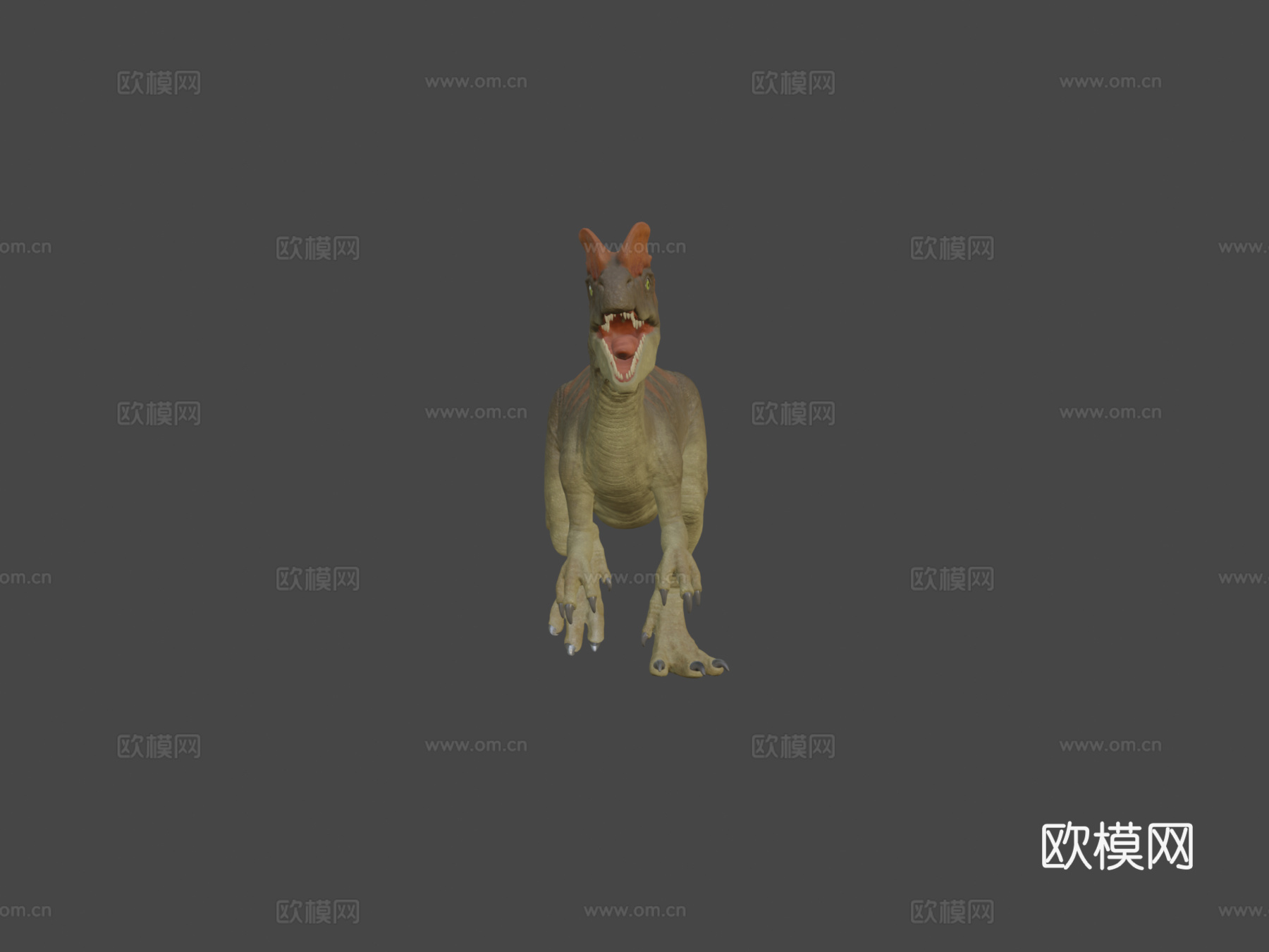 双脊龙3d模型