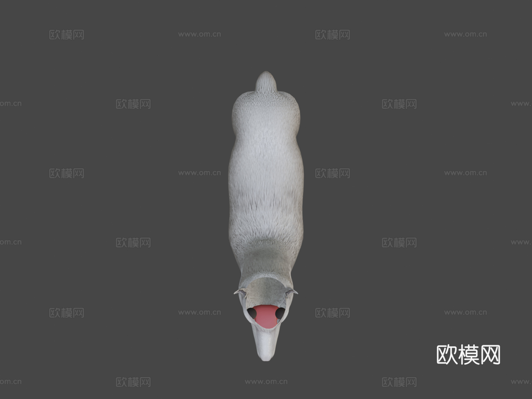 羊驼3d模型