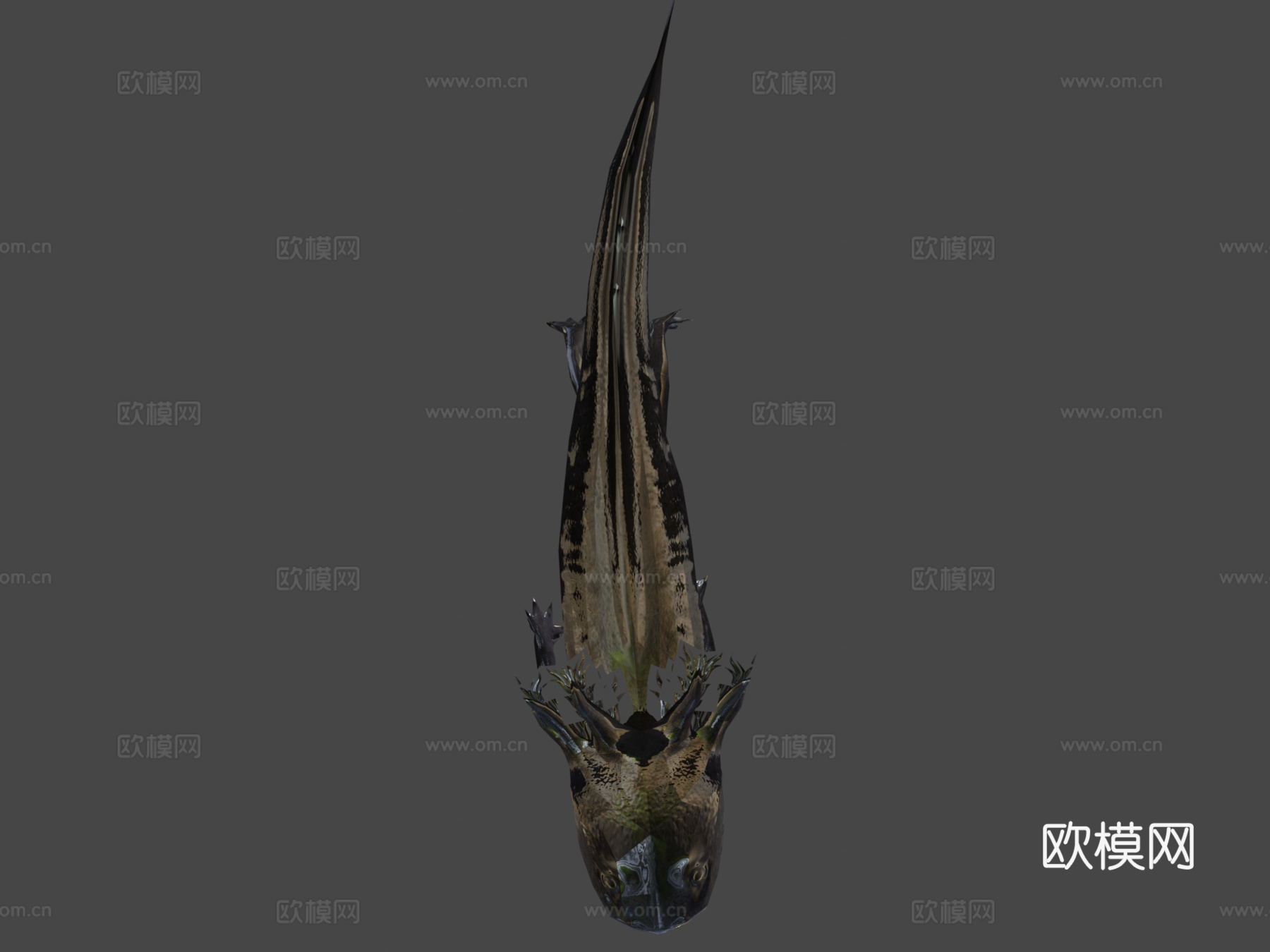 蝾螈3d模型
