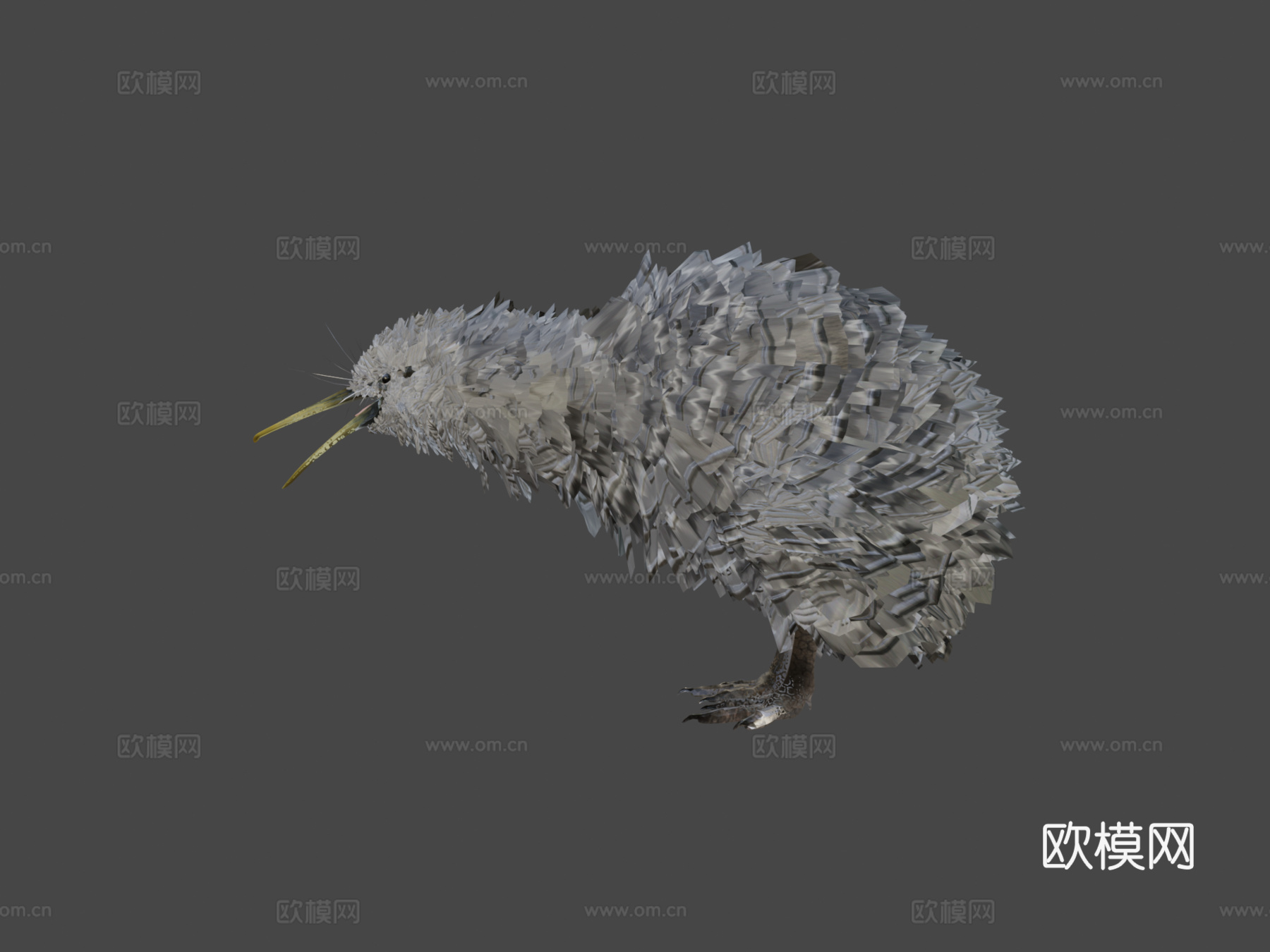 小斑点几维鸟3d模型