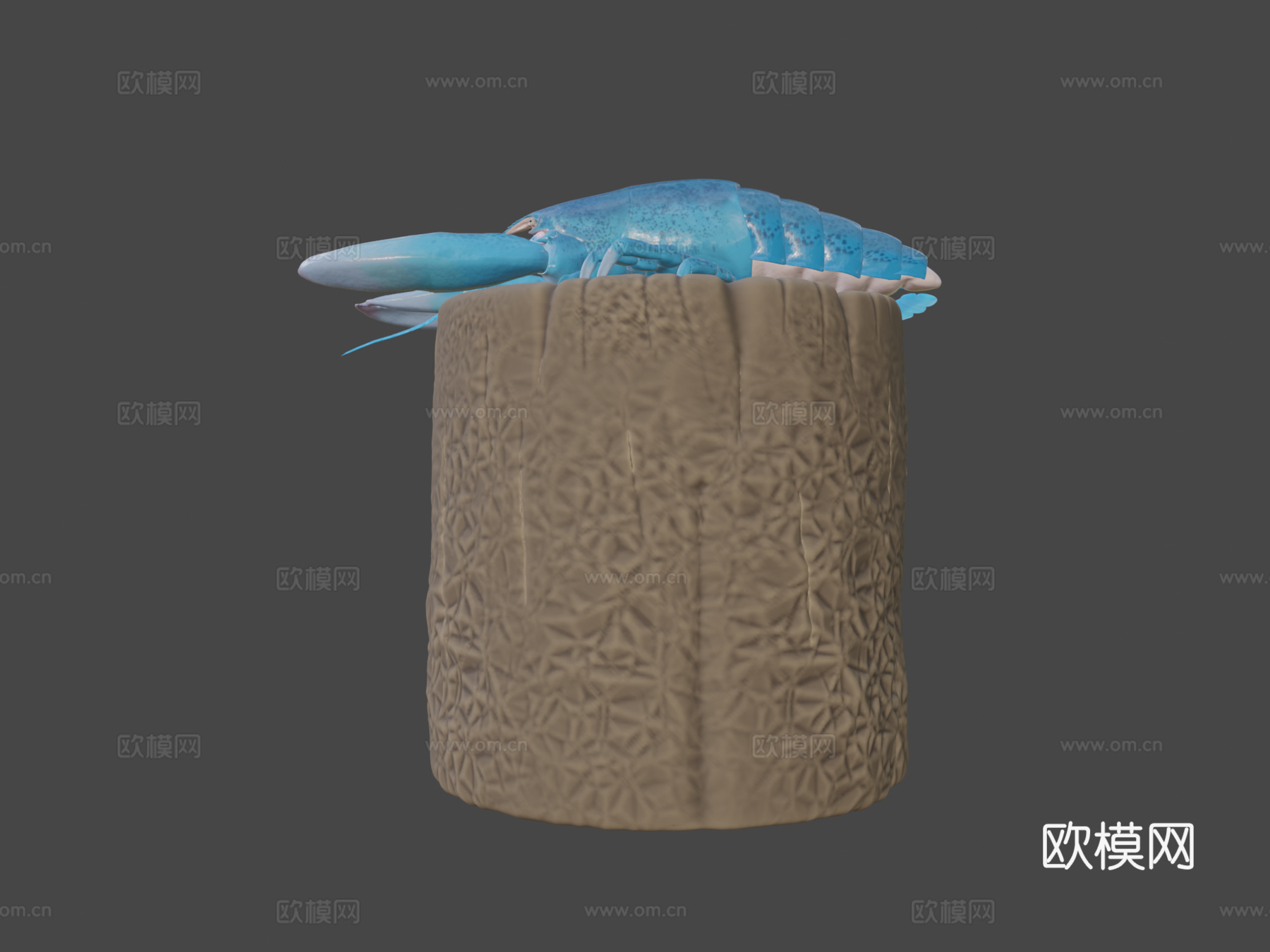 蓝龙虾3d模型