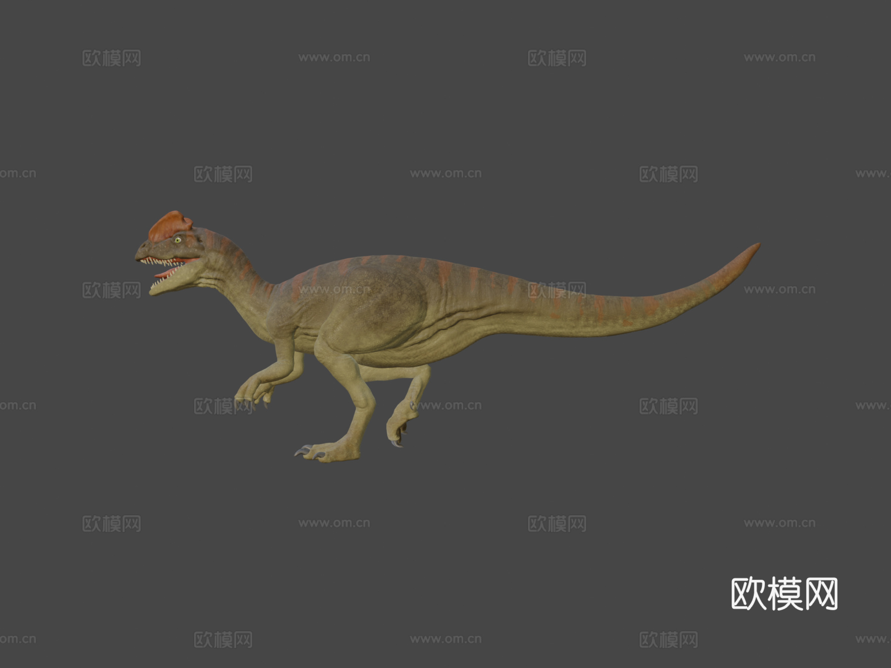 双脊龙3d模型