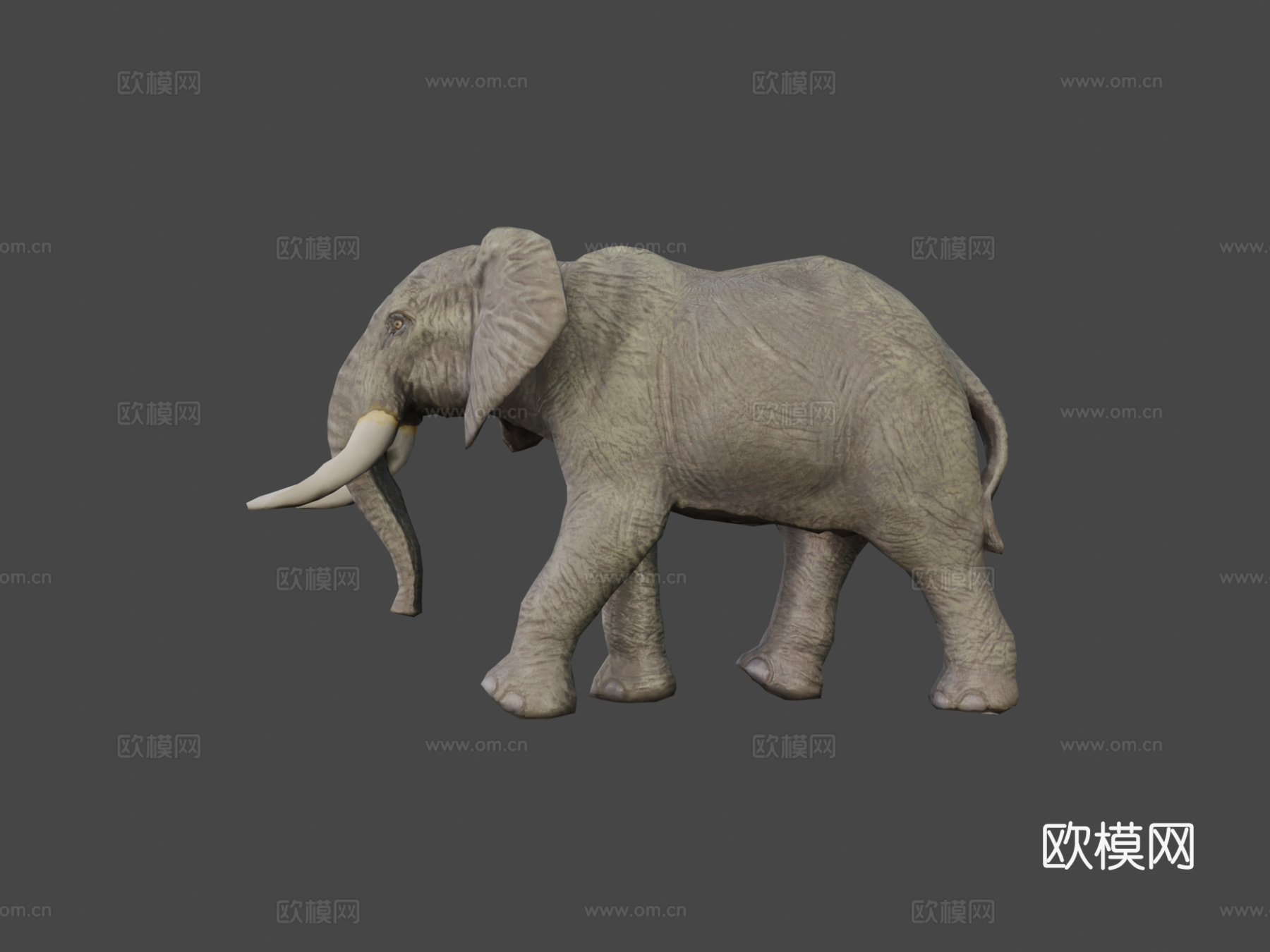 大象3d模型