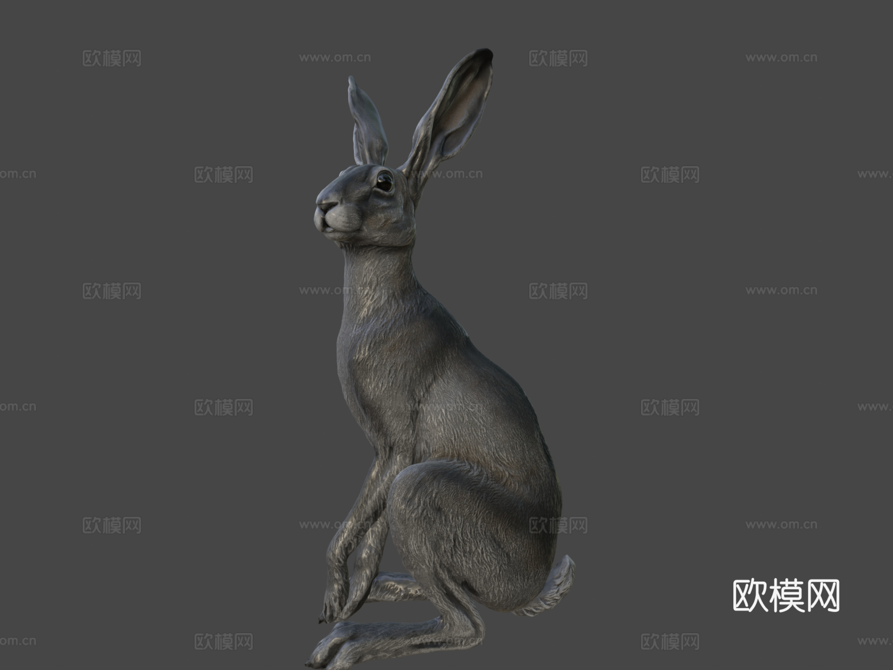 野兔-3D雕刻3d模型