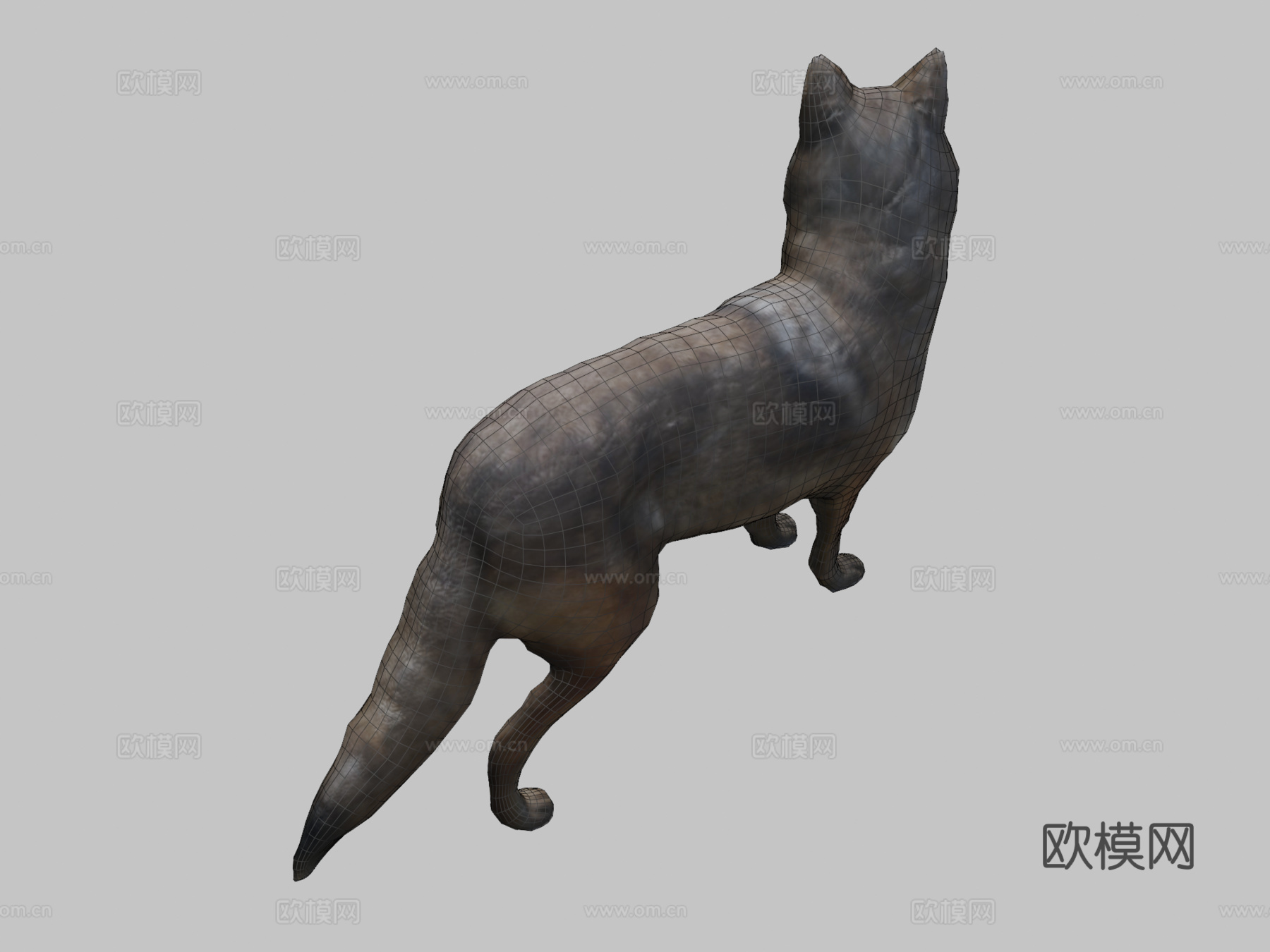 郊狼3d模型