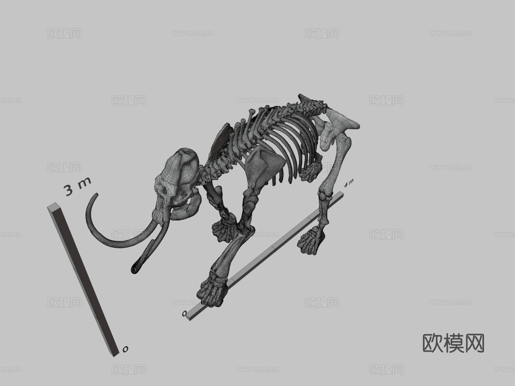 阿克斯猛犸象3d模型3d模型