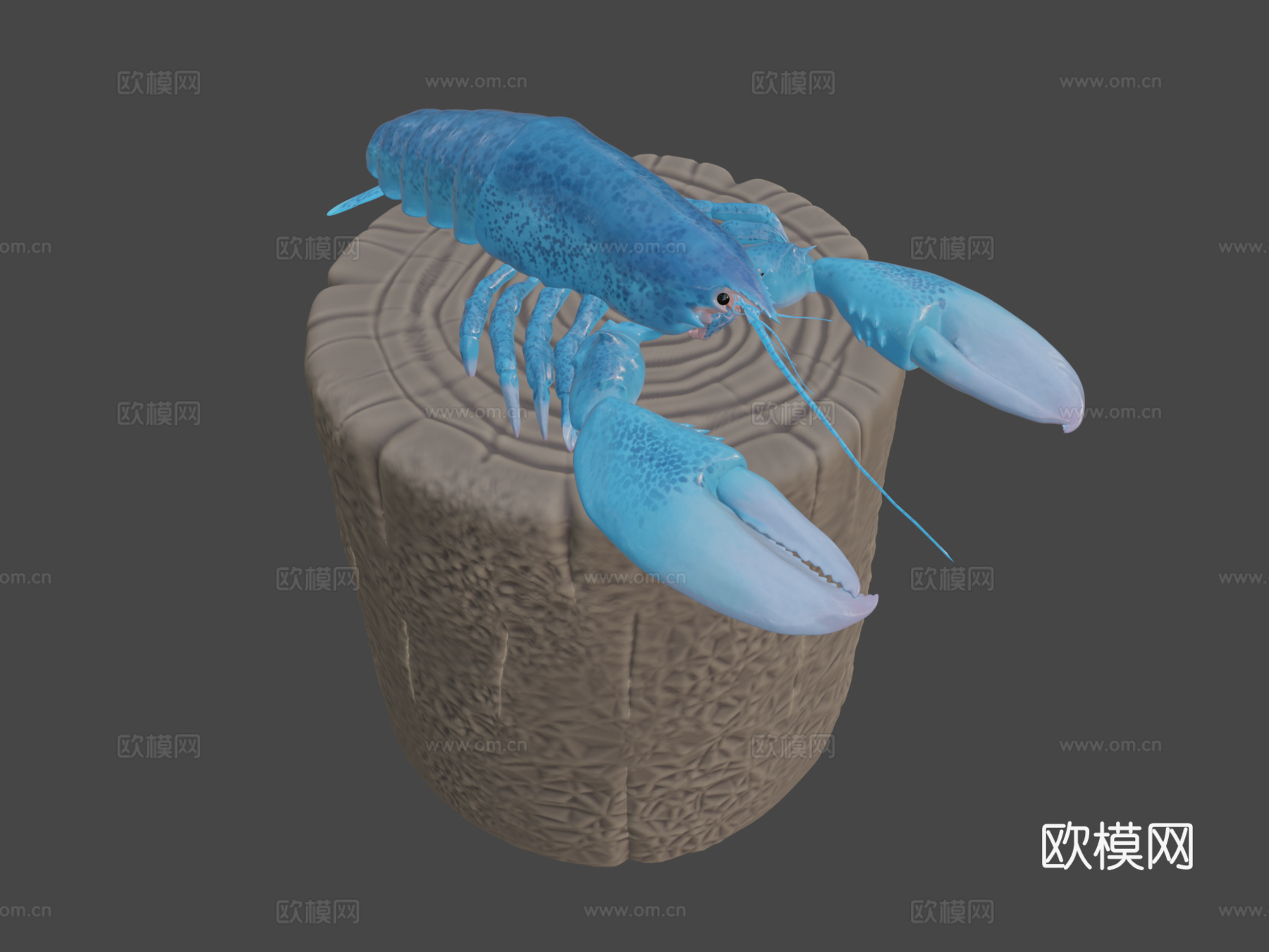 蓝龙虾3d模型