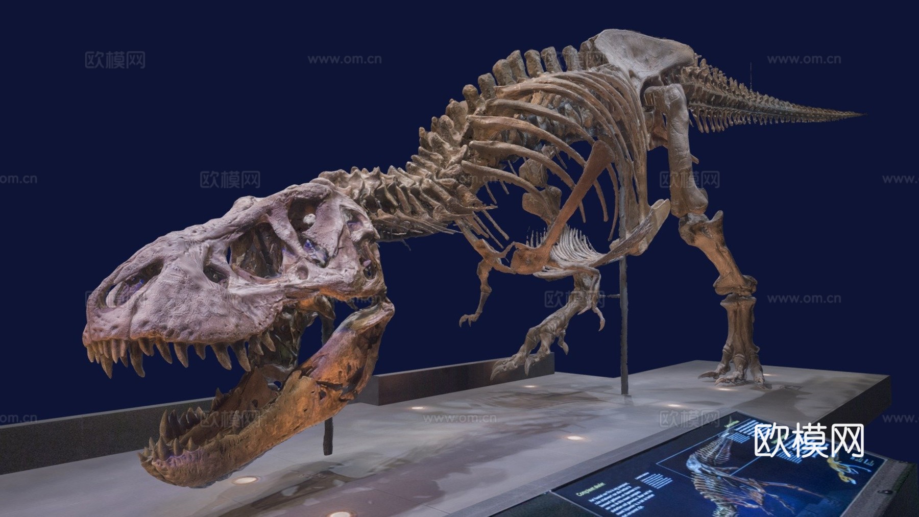 暴龙特里克3d模型