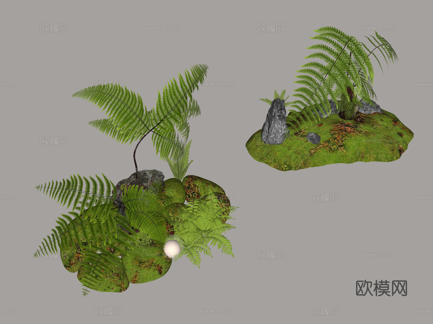 蕨类植物景观 微景观设计 绿植装饰 苔藓景观 生态造景su模型