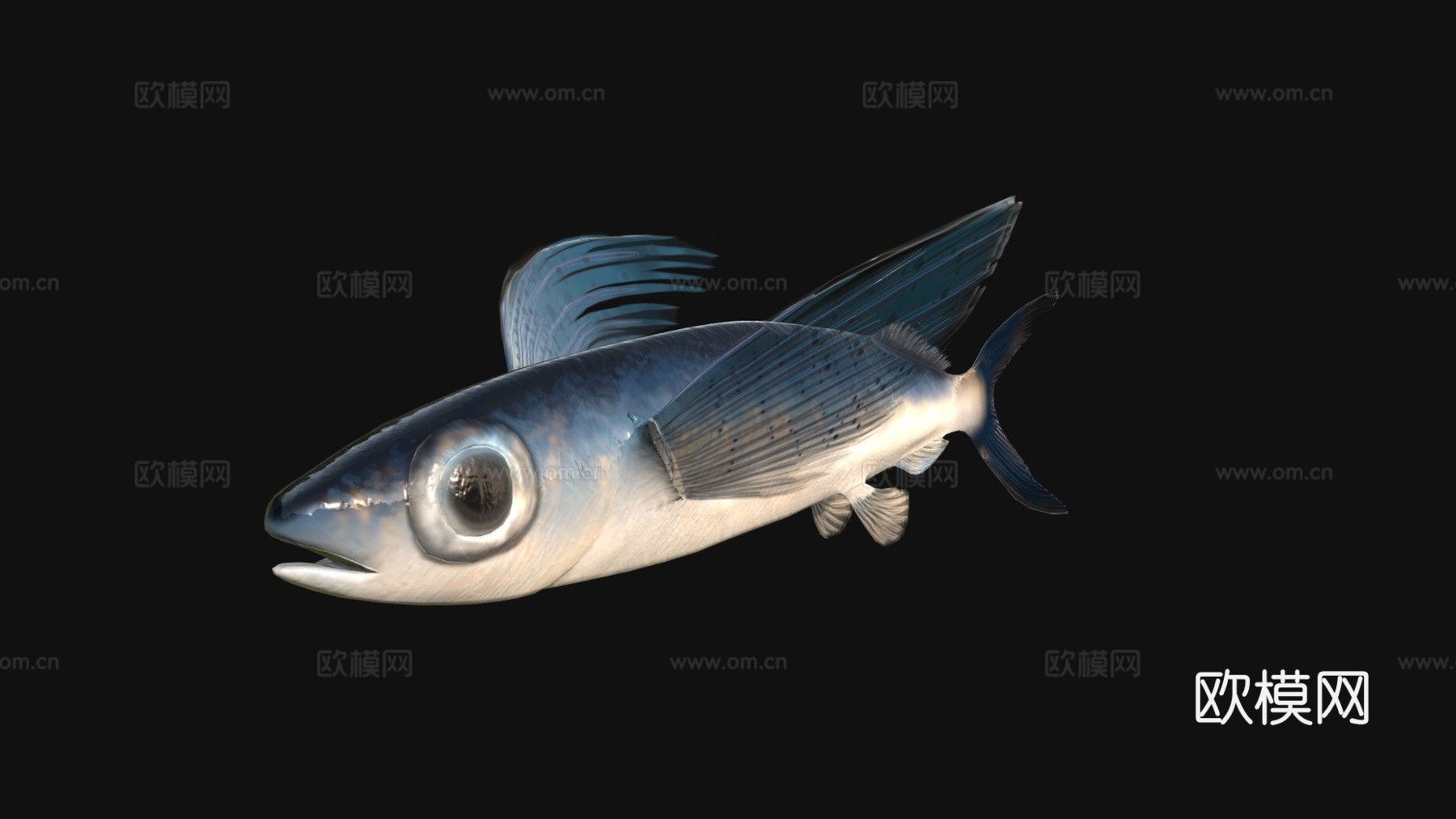 飞鱼3d模型