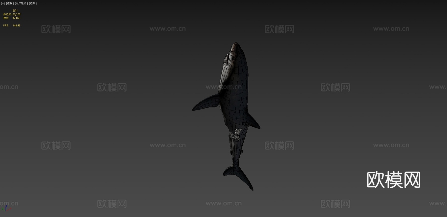 巨齿鲨对战大白鲨3d模型