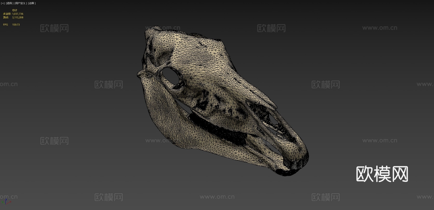 莫纳什神秘头骨-黄色3d模型