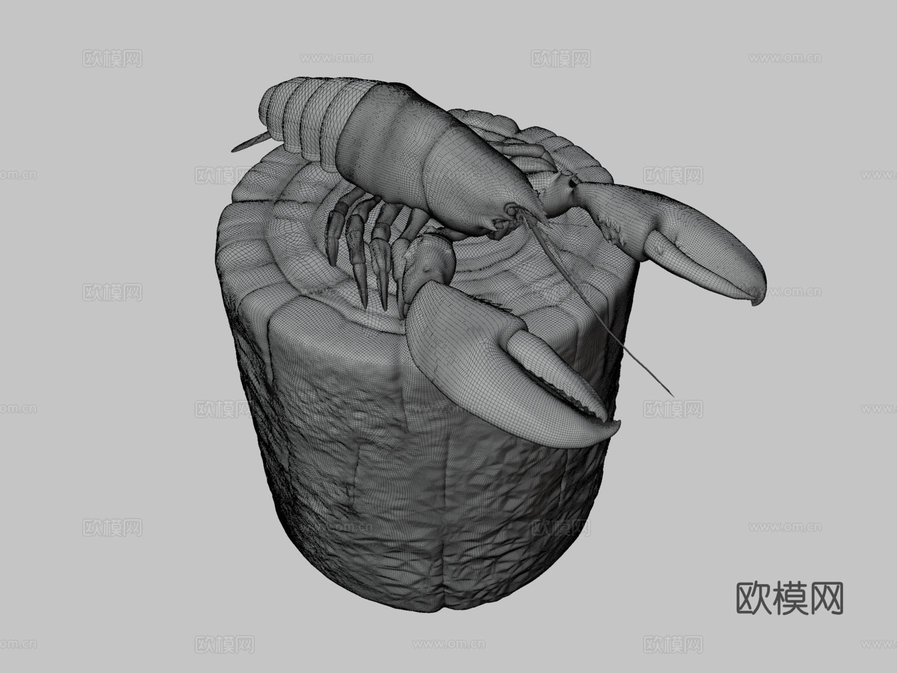 蓝龙虾3d模型