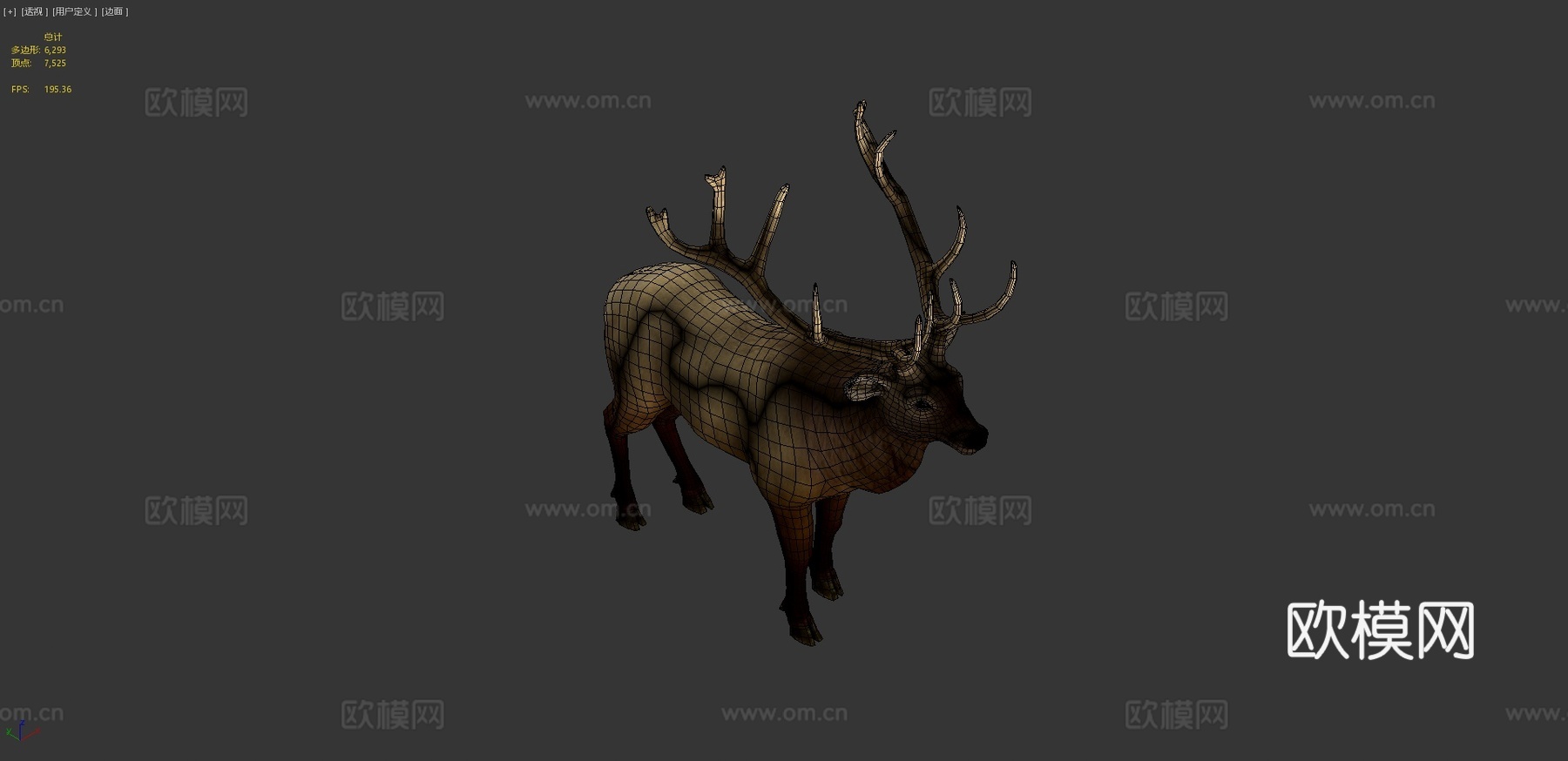 落基山马鹿雄鹿3d模型
