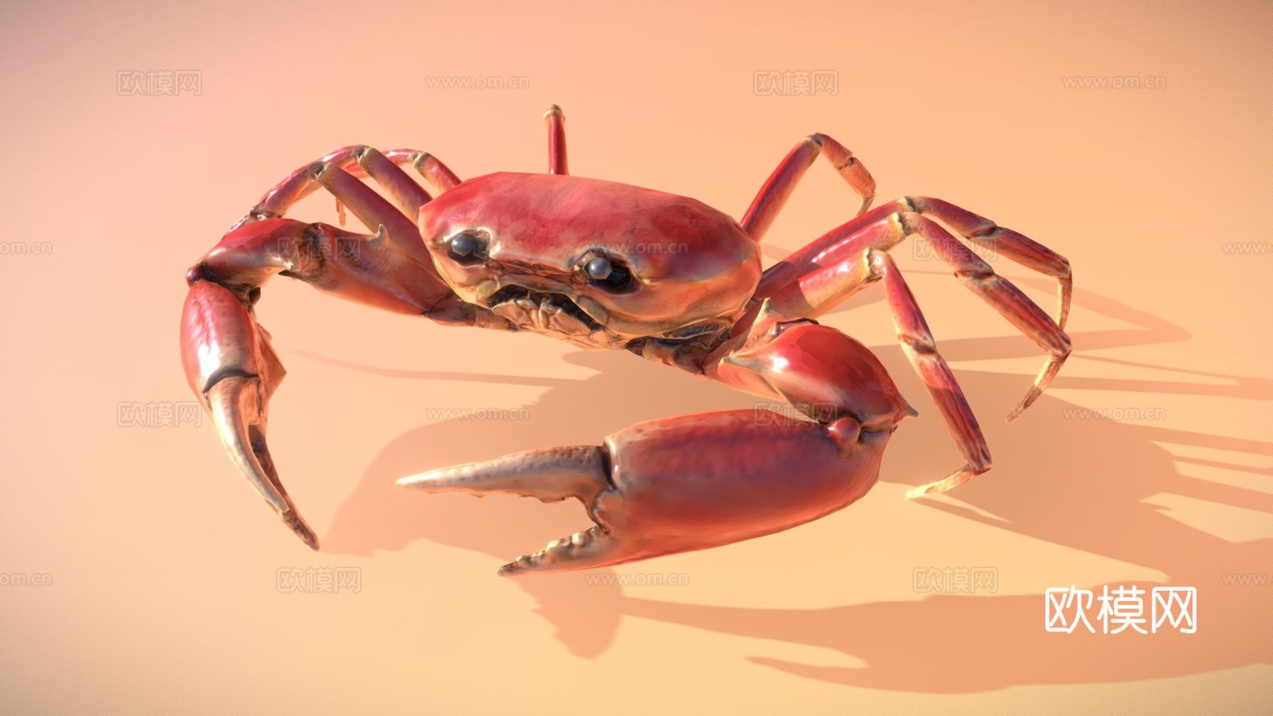 螃蟹3d模型