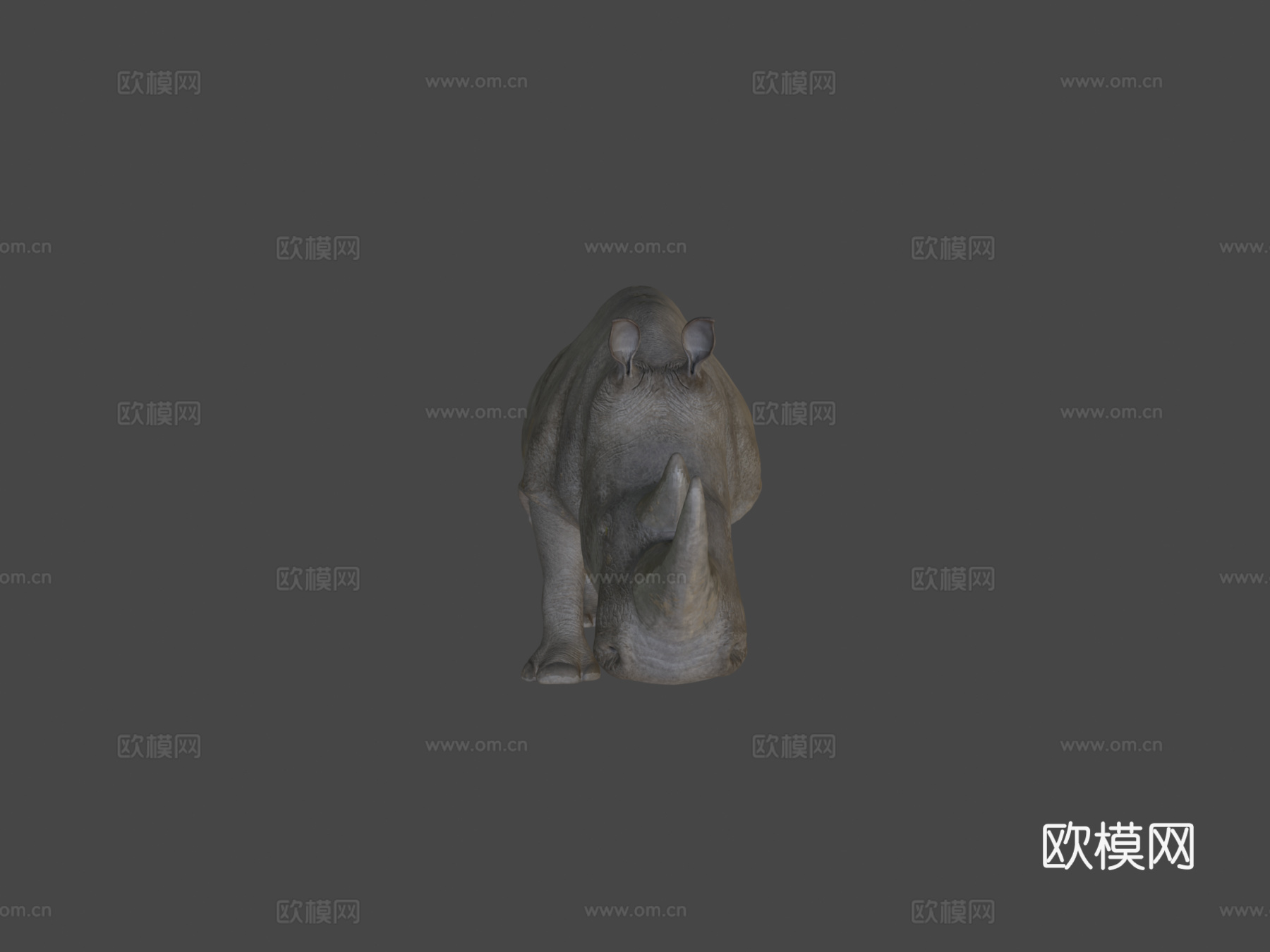 白犀牛3d模型