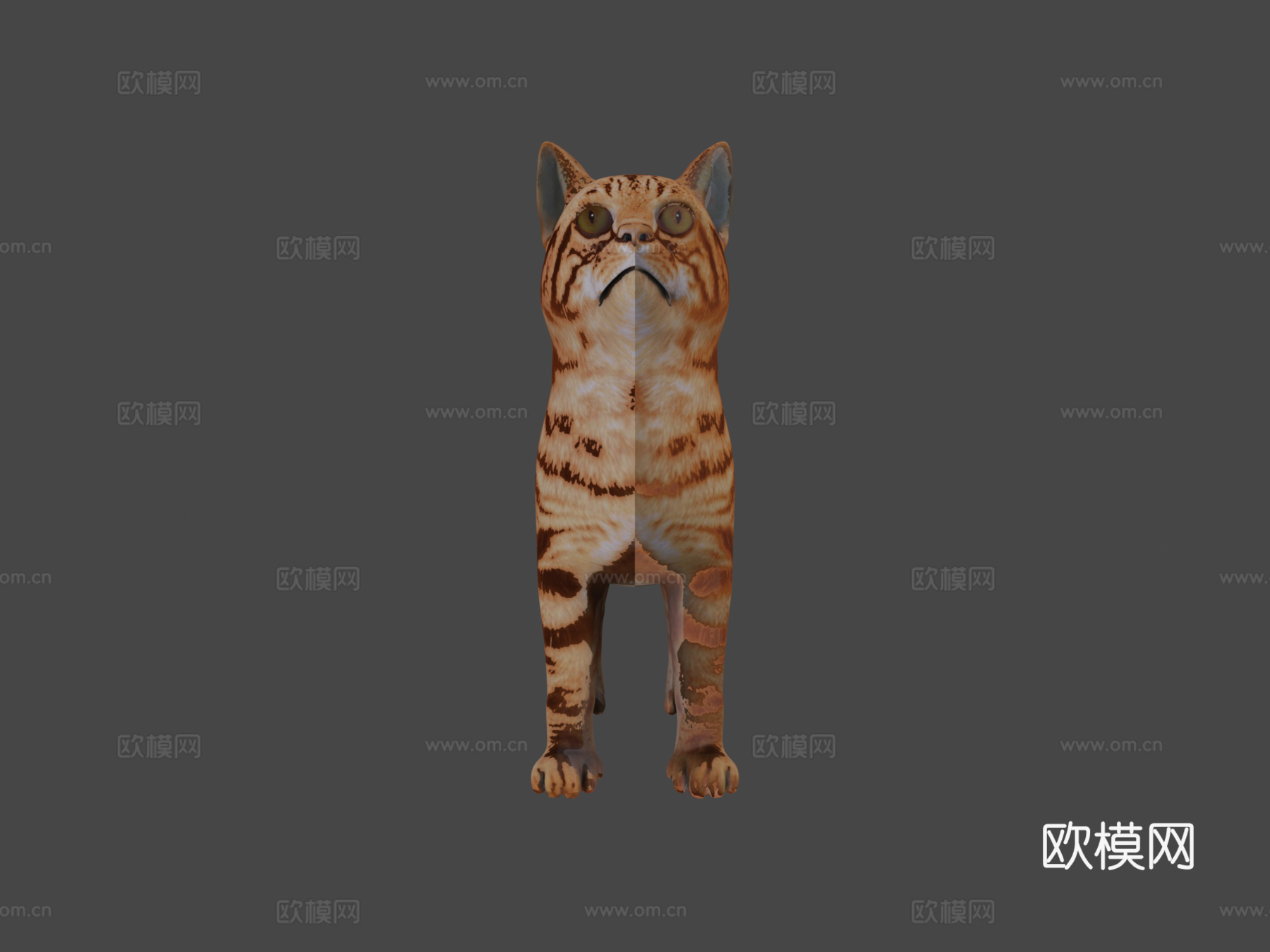 猫3D模型3d模型