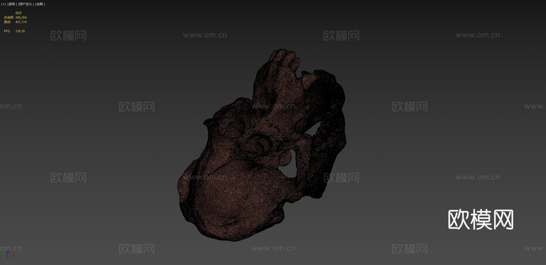 猩猩头骨3d模型