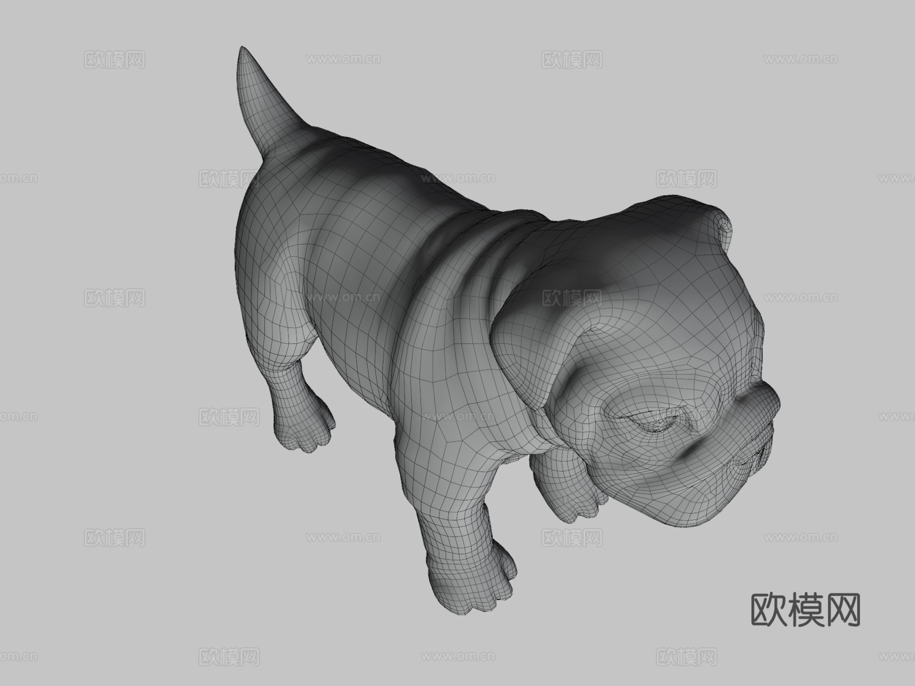 牛头犬幼崽3d模型