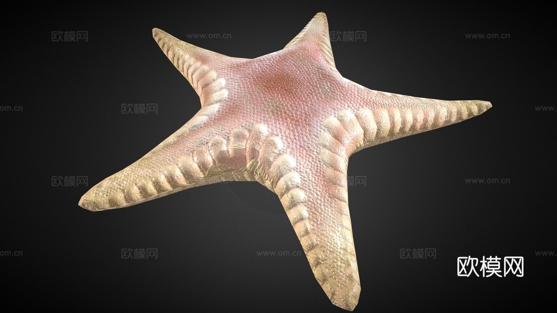 海星绑定3d模型