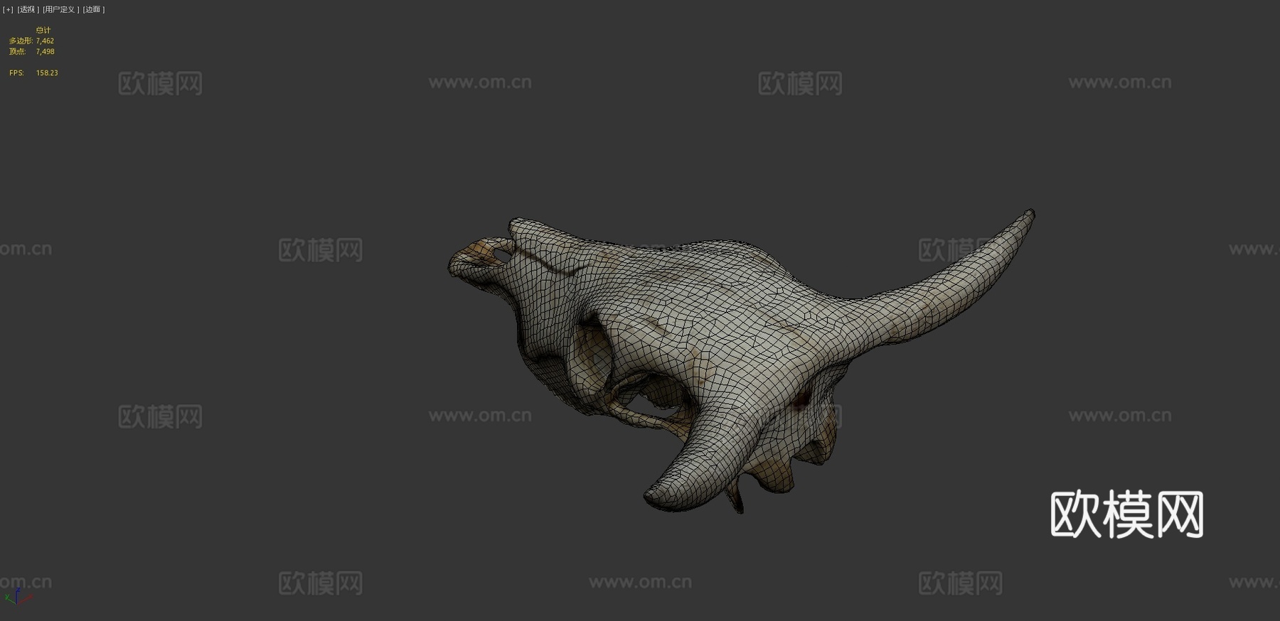 日晒牛头骨资产3d模型