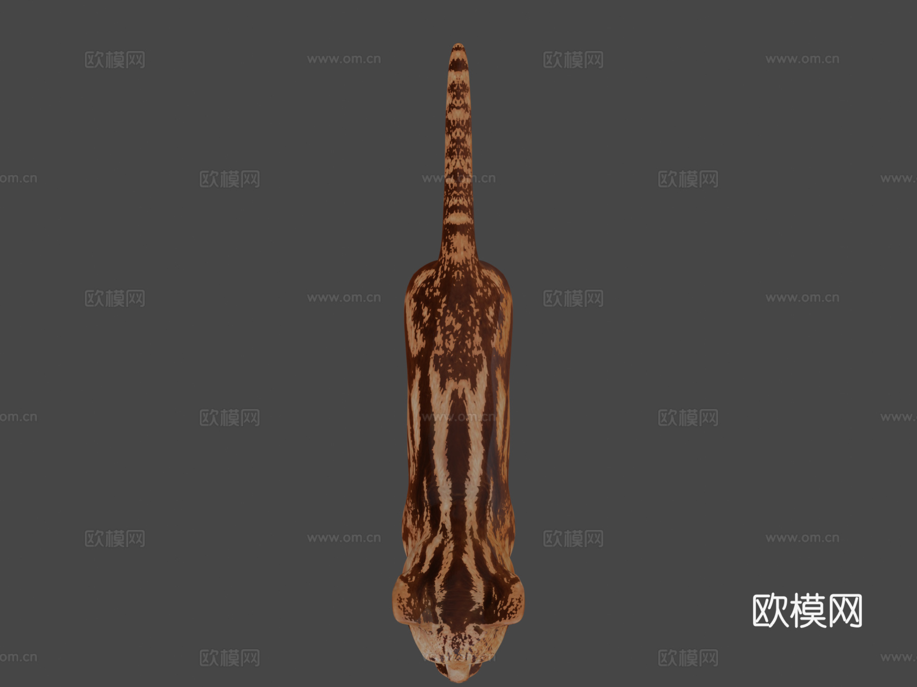 猫3D模型3d模型
