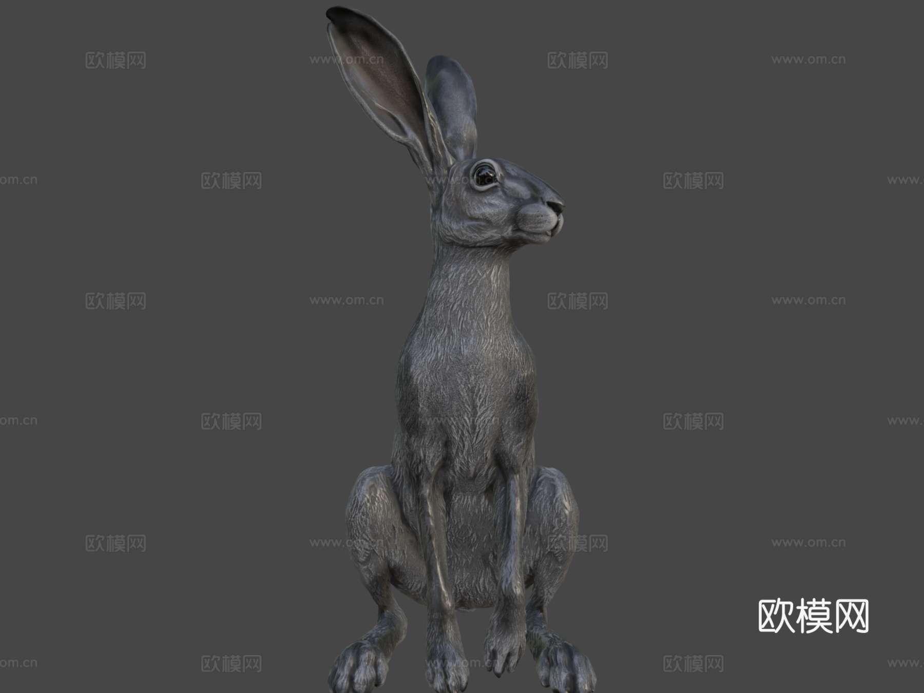 野兔-3D雕刻3d模型