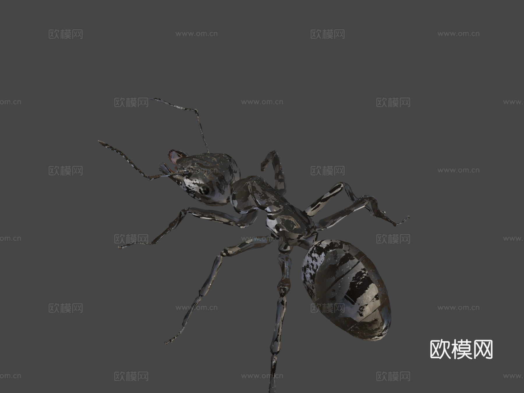工匠蚁3d模型